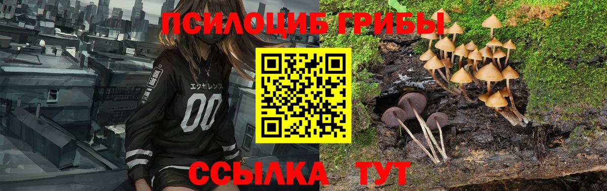 Алейск  Галлюциногенные грибы Magic Shrooms  Вход с VPN 